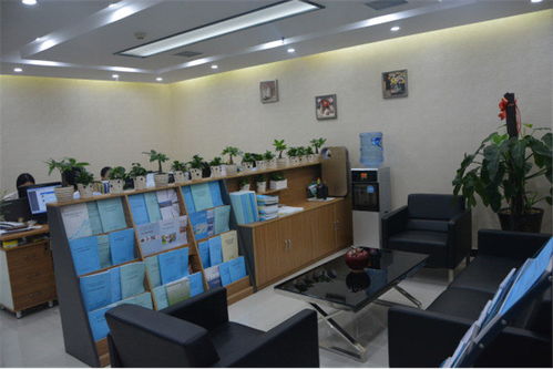 高碑店市農(nóng)村廁所改造工程標書編制與工程咨詢服務方案