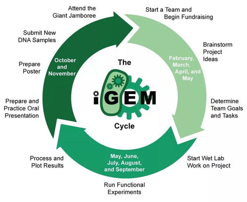 啟航基因工程夢(mèng)想！國(guó)際遺傳工程機(jī)器大賽（iGEM）高含金量競(jìng)賽學(xué)員招募中